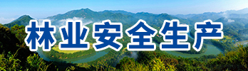 林業生產安全